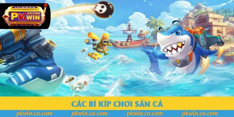 Các bí kíp chơi săn cá Các bí kíp chơi săn cá