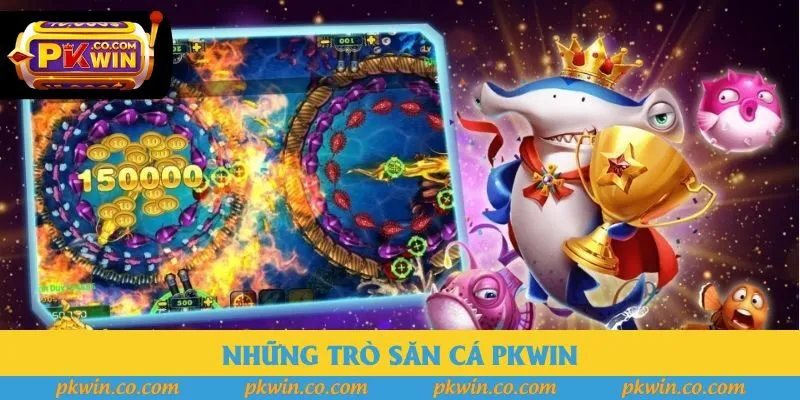 Những trò săn cá Pkwin Những trò săn cá Pkwin
