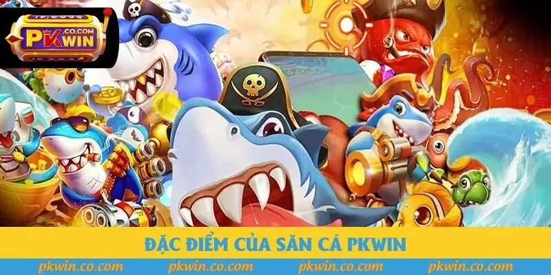 Đặc điểm của săn cá Pkwin Đặc điểm của săn cá Pkwin