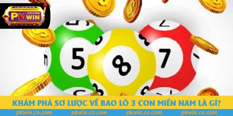 Khám phá sơ lược về bao lô 3 con miền Nam là gì?