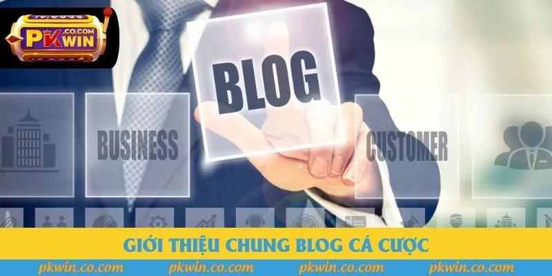 Giới thiệu chung Blog cá cược
