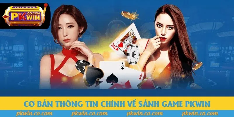 Cơ bản thông tin chính về sảnh game PKWin Cơ bản thông tin chính về sảnh game PKWin