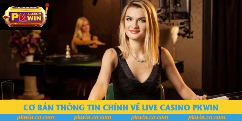 Cơ bản thông tin chính về Live Casino PKWIN
