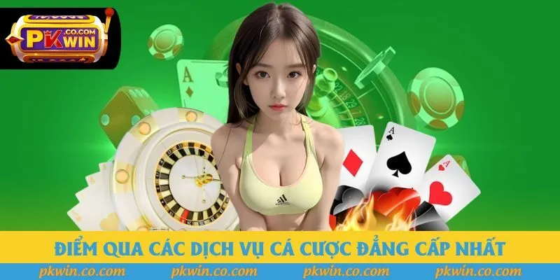 Điểm qua các dịch vụ cá cược đẳng cấp nhất tại nhà cái