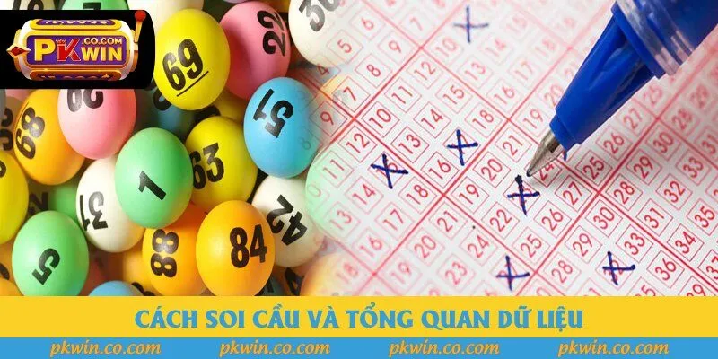 Cách soi cầu và tổng quan dữ liệu